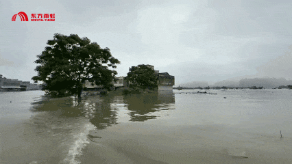 640.gif